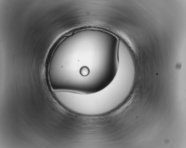 X0000102380924200808151854