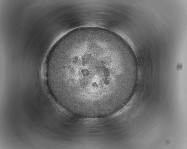 X0000102380925200808151854