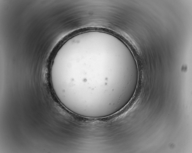 X0000102380926200808151854