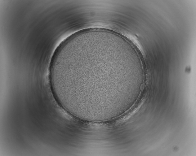 X0000102380928200808151854