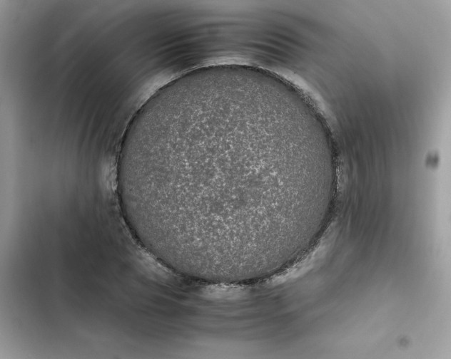 X0000102380929200808151854