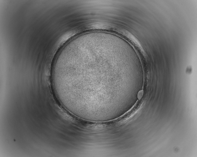 X0000102380930200808151854