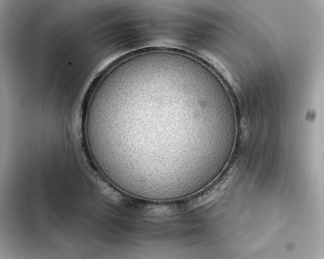 X0000102380931200808151854