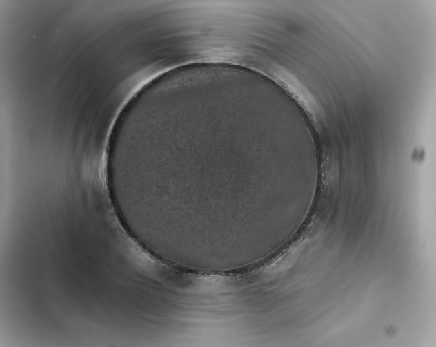 X0000102380932200808151854