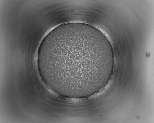 X0000102380933200808151854