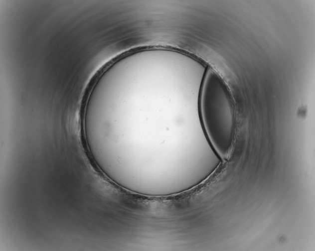 X0000102380936200808151854