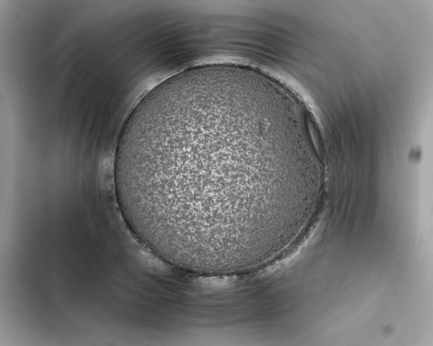 X0000102380937200808151854