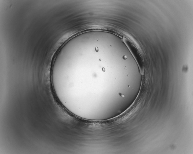 X0000102380938200808151854