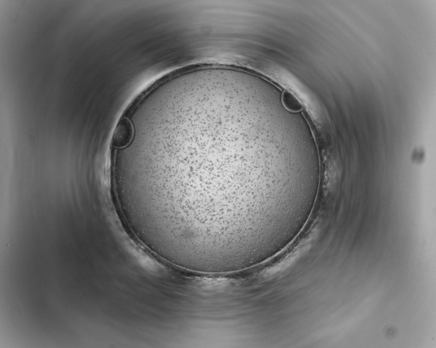 X0000102380940200808151854