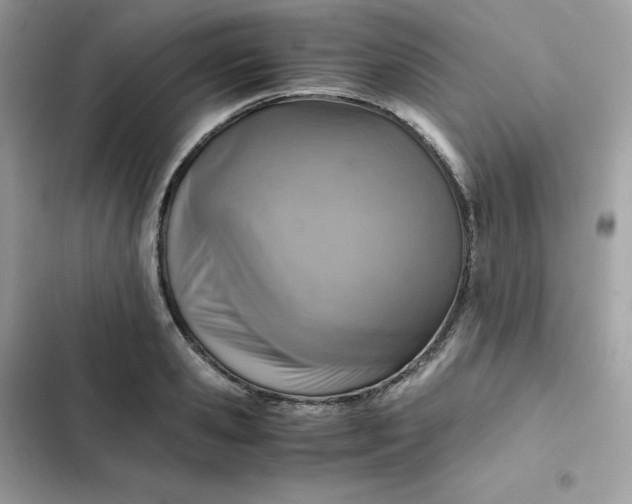 X0000102380941200808151854