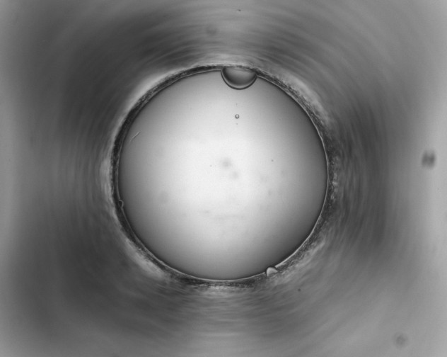 X0000102380942200808151854