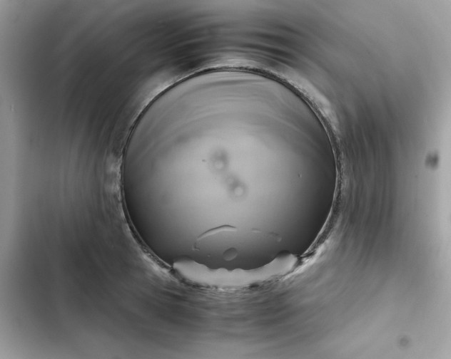 X0000102380945200808151854