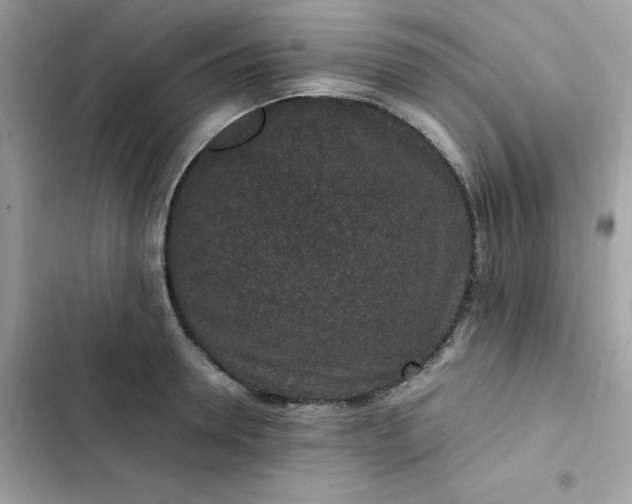 X0000102380946200808151854