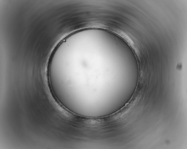 X0000102380947200808151854