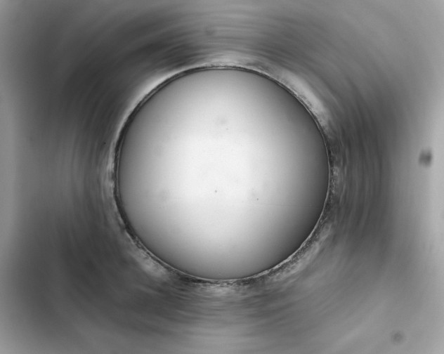 X0000102380948200808151854