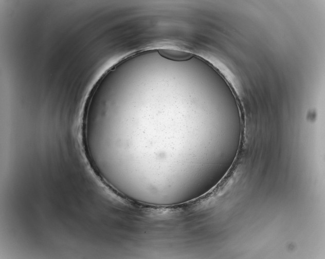 X0000102380949200808151854