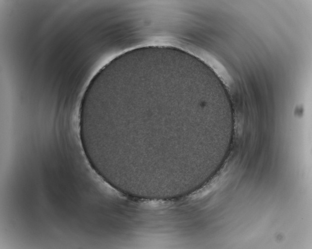 X0000102380950200808151854