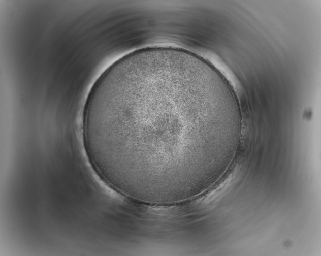 X0000102380951200808151855