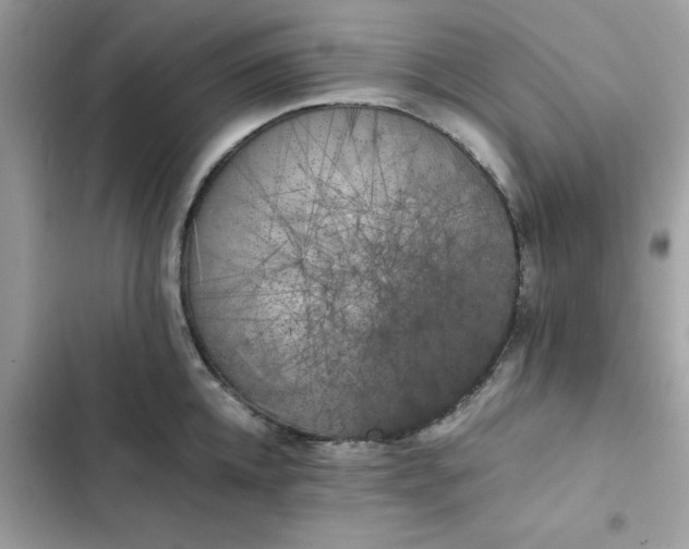 X0000102380952200808151855