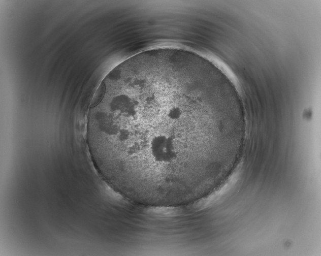 X0000102380953200808151855