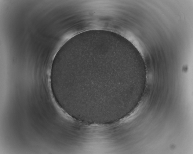 X0000102380954200808151855