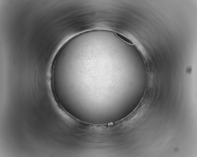 X0000102380955200808151855