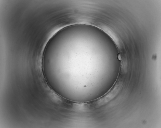 X0000102380956200808151855