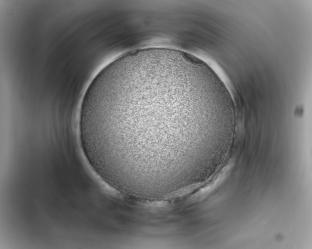 X0000102380957200808151855