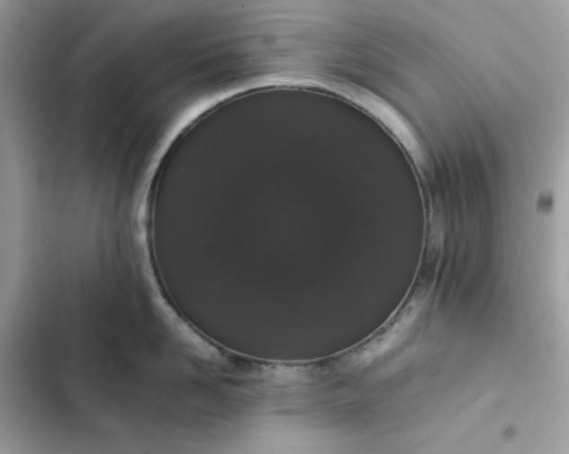 X0000102380958200808151855