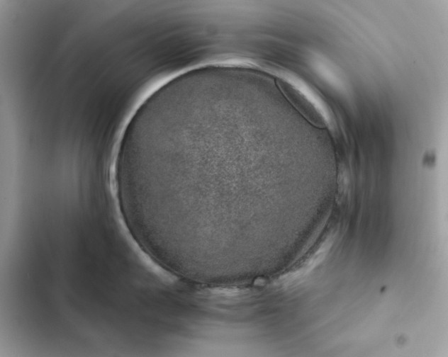 X0000102380959200808151855