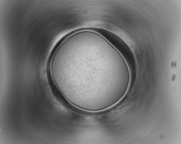 X0000102380960200808151855