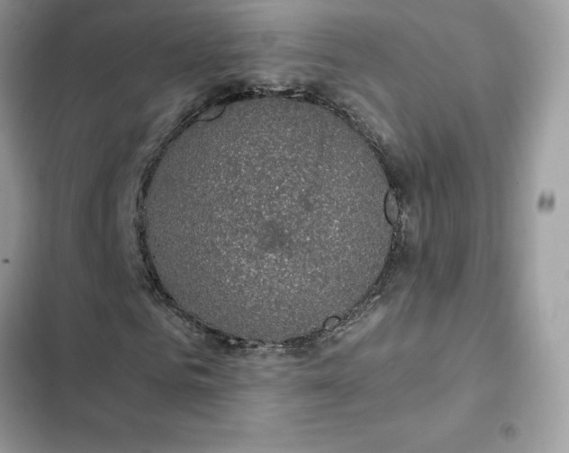 X0000102380961200808151854