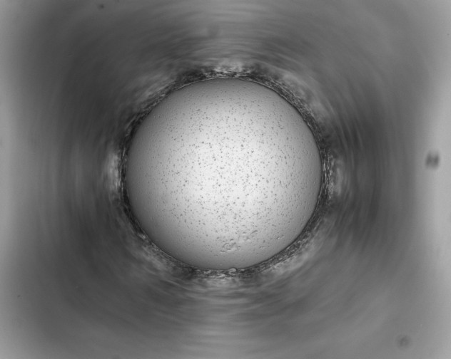 X0000102380962200808151854