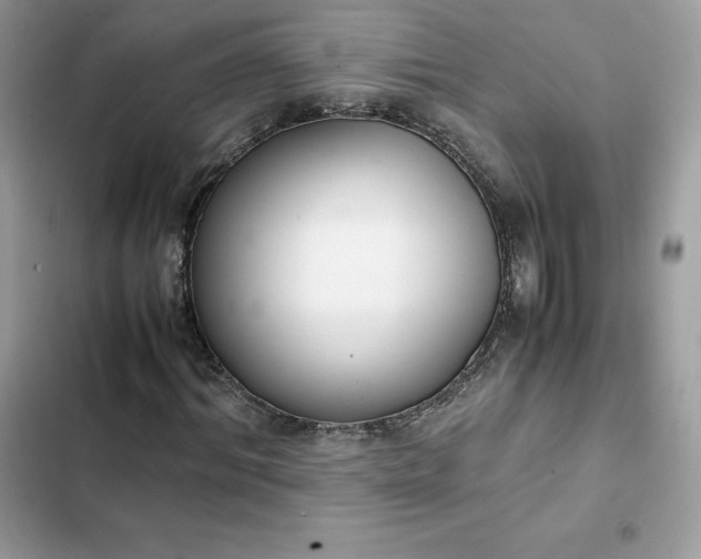 X0000102380964200808151854