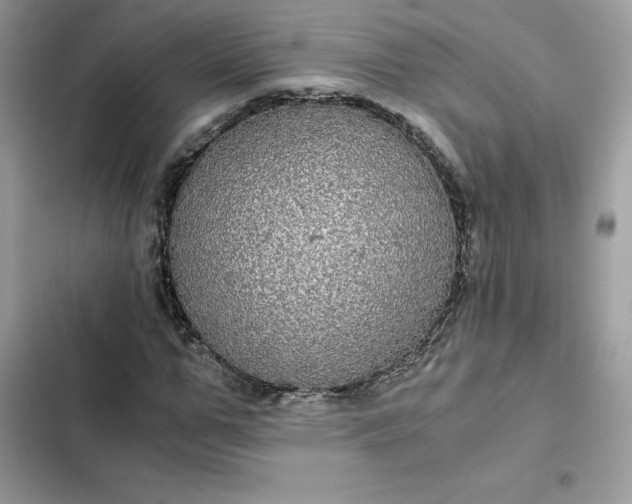 X0000102380967200808151854