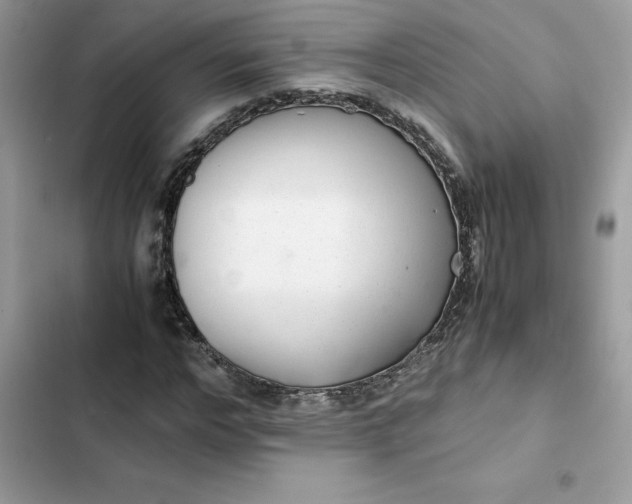 X0000102380968200808151854