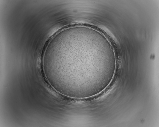 X0000102380969200808151854