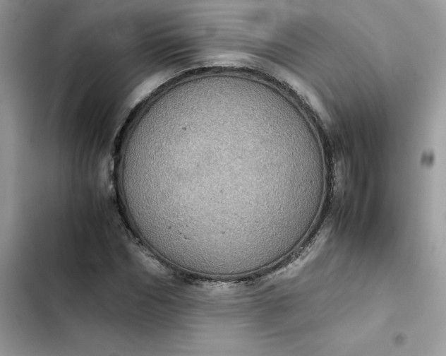 X0000102380970200808151854