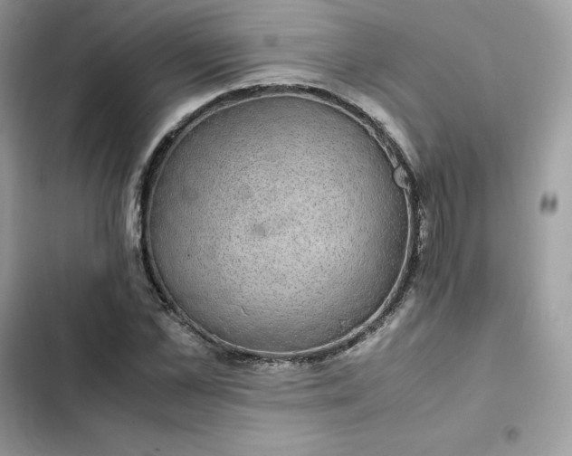 X0000102380973200808151854