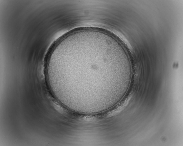 X0000102380974200808151854