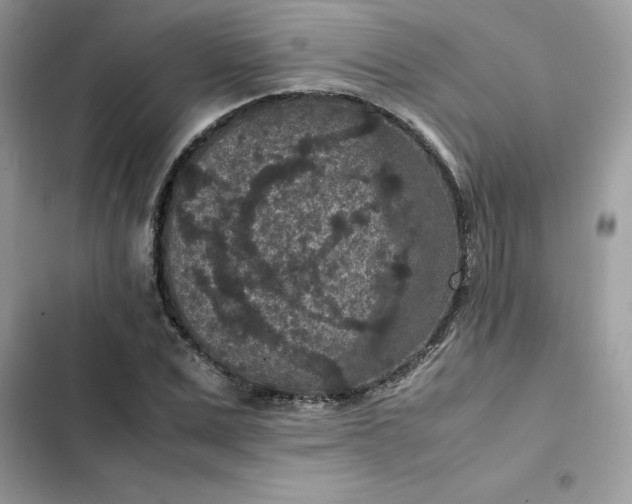 X0000102380975200808151854