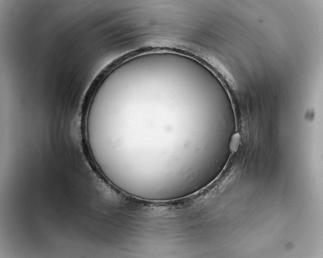 X0000102380976200808151854