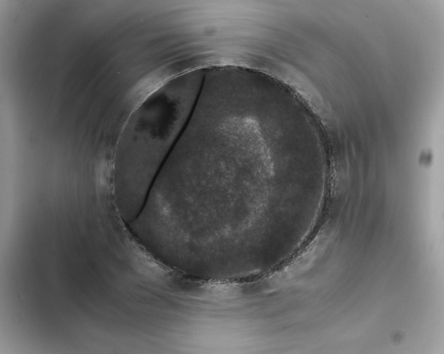 X0000102380977200808151854