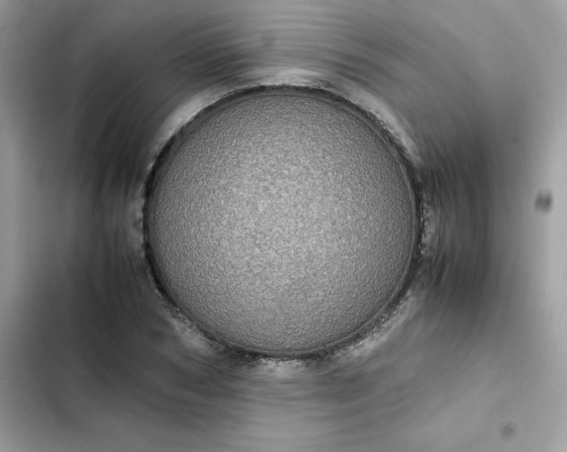 X0000102380978200808151854