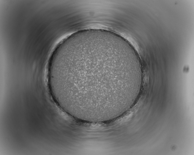 X0000102380979200808151854