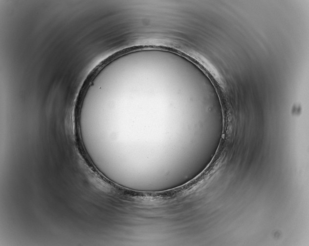 X0000102380980200808151854