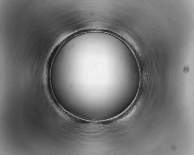 X0000102380981200808151854