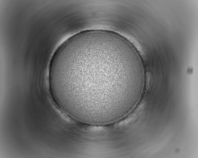 X0000102380982200808151854