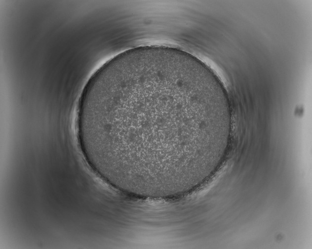 X0000102380983200808151854