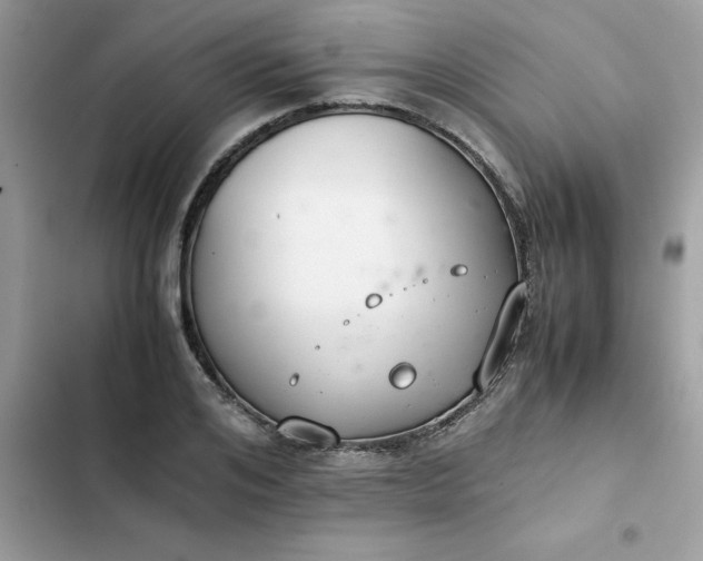 X0000102380984200808151854